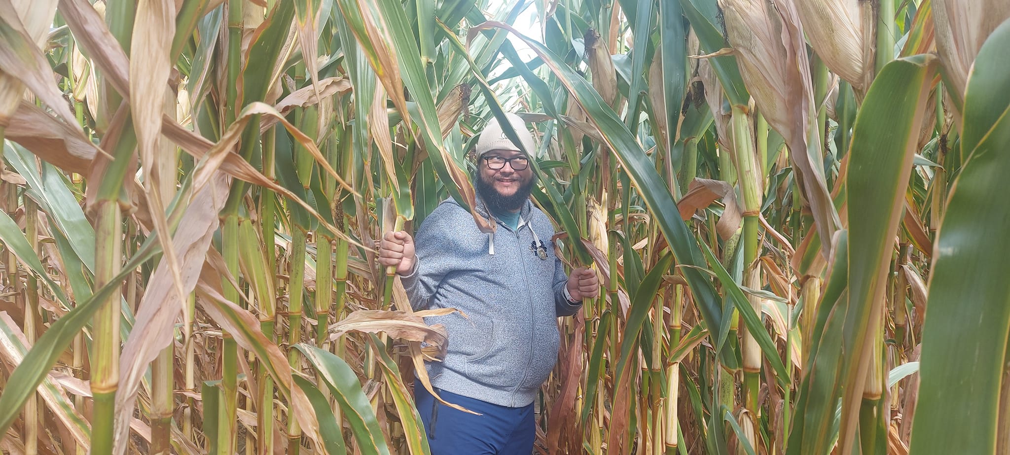 A man with short hair and bushy facial hair stands between rows of corn